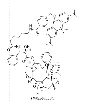 HMSiR-tubulin