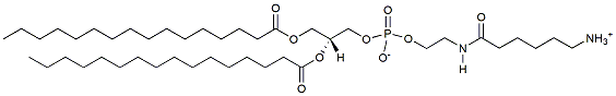 16:0 Caproylamine PE   CAS：115288-21-6