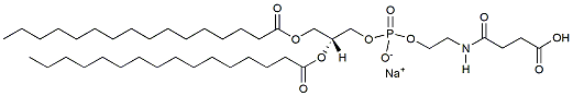 16:0 Succinyl PE  CAS：186800-61-3