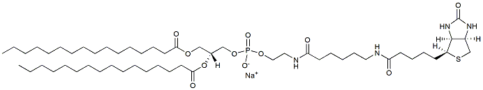 16:0 Biotinyl Cap PE   CAS：384835-52-3