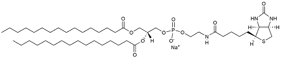 16:0 Biotinyl PE   CAS:384835-54-5