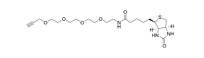 Biotin-PEG4-alkyne