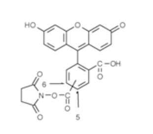 5(6)-FAM, SE,cas：117548-22-8