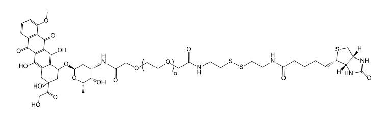 Biotin-SS-PEG-Doxorubicin