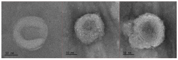 Sodium thiohydride/CY5 @SiO2@Lipid nanoparticles-targeted peptide/Dil