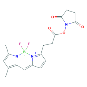 BDP FL NHS ester 