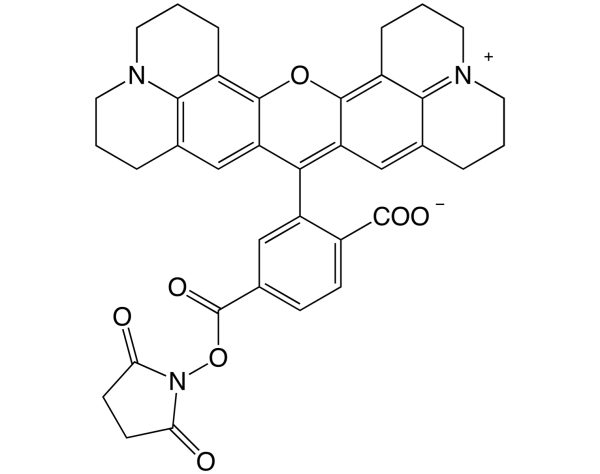 ROX NHS ester, pure 6-isomer