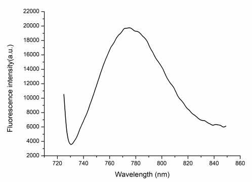 Blank Lipid nanoparticles-CY7/ GIn(100nm)