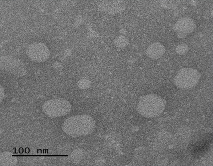 ICG@liposome-cRGD,100nm