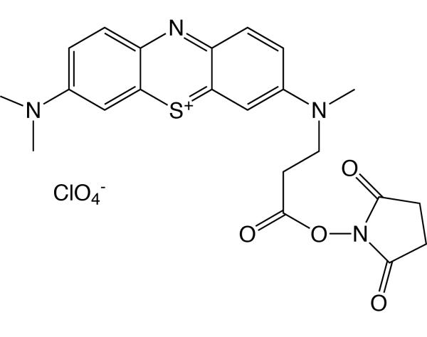 Methylene Blue NHS