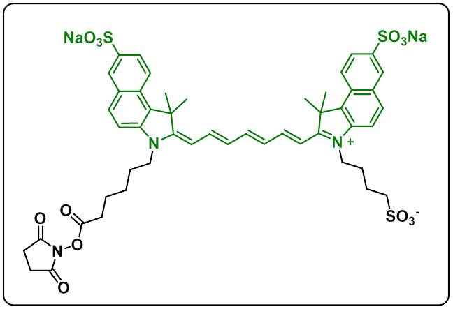 disulfo-ICG NHS ester