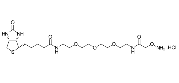 Biotin-PEG3-oxyamine HCl salt