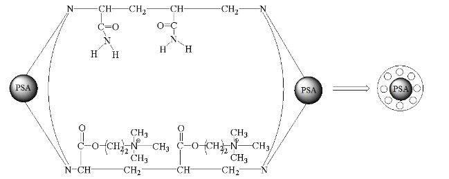 molecularly imprinted polymers（MIPs）