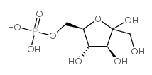 D-Fructose-6-phosphate CAS : 643-13-0