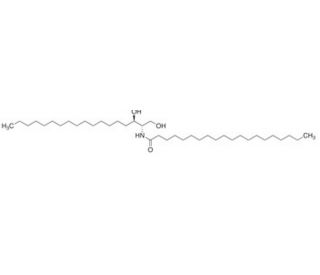 C20 Dihydroceramide (CAS 121459-06-1)