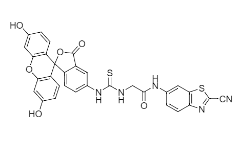 FITC-Gly-CBT 