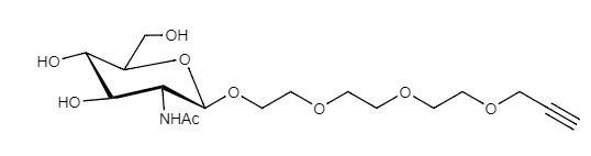 beta-GlcNAc-TEG-Alkyne 