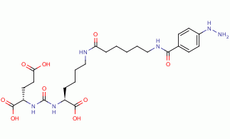 HYNIC-PSMA