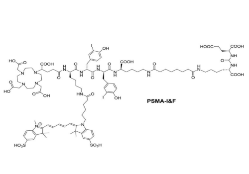 PSMA I&F