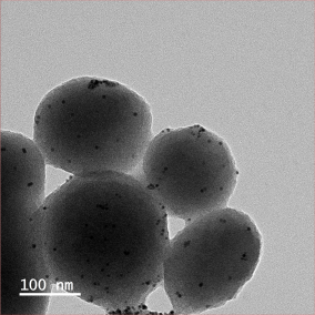 Ni@Au Core-shell nanoparticles