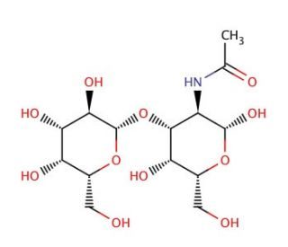 Galacto-N-biose     CAS 20972-29-6 