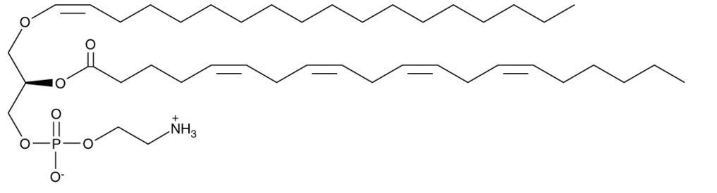 C18(Plasm)-20:4 PE   CAS:144371-69-7 