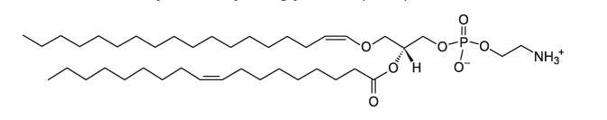 C18(Plasm)-18:1 PE   CAS：144371-68-6
