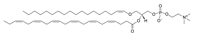 C18(Plasm)-22:6 PC    CAS：799268-64-7 