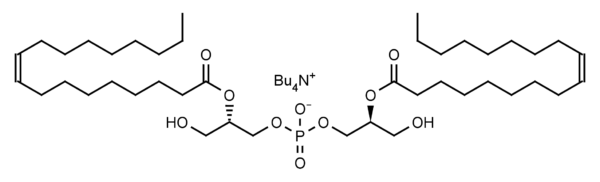 (S,S) Bisoleoyl-lysobisphosphatidic acid (LBPA)   CAS：288089-44-1  