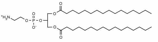1,3-DPPE (16:0/16:0 PE)   CAS:67303-63-9