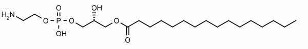 16:0 LysoPE (LPE)    CAS：53862-35-4 