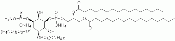 3S-PtdIns(3,4,5)P3, diC16 