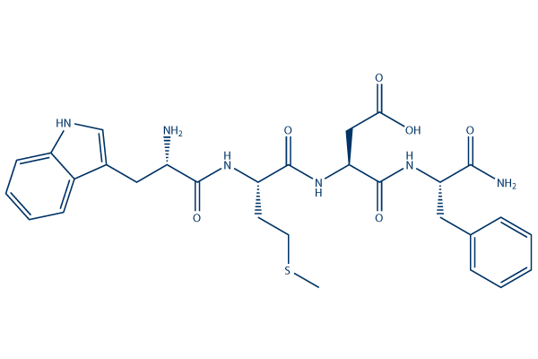 Gastrin Tetrapeptide