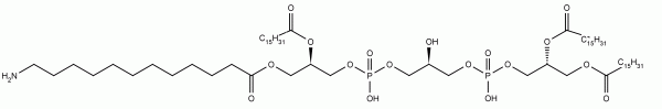 Aminocardiolipin (Amino-CL)