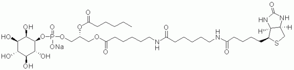 Biotin Monolysocardiolipin