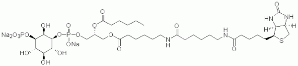 Biotin Phosphatidylinositol 3-phosphate