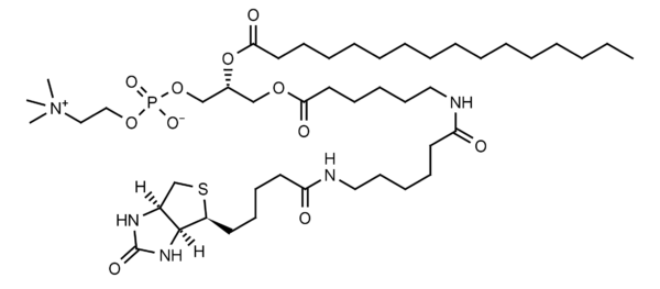 Biotin-Phosphatidylcholine