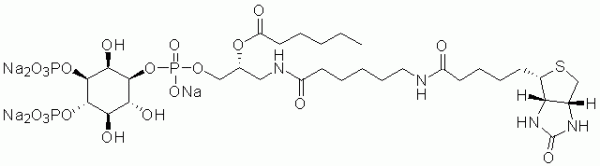 GloPIPs Biotin-PI(3,4)P2