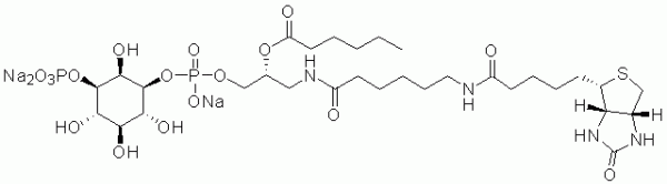 GloPIPs Biotin-PI(3)P