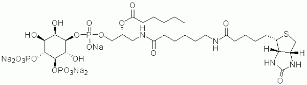 GloPIPs Biotin-PI(4,5)P2