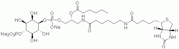 GloPIPs Biotin-PI(4)P