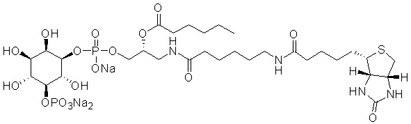 GloPIPs Biotin-PI(5)P