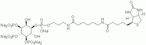 Ins(1,3,4,5)P4 Biotin