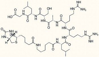 Biotin-LC-Kemptide