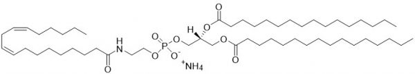 N-Linoleoyl-DPPE   cas:2148334-94-3