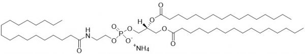 N-Stearoyl-DPPE