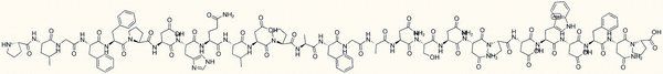 Hepatitis B Virus Receptor Binding Fragment