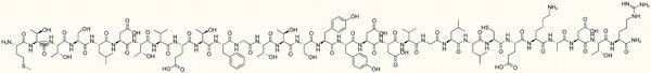 CC Chemokine Receptor 3 Fragment I amide