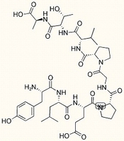 Melanocyte Protein PMEL 17 (256-264) (human, bovine, mouse)