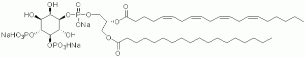 Phosphatidylinositol 4,5-bisphosphate 18:0/20:4